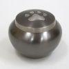 BR69344 - Pet Paw Urn