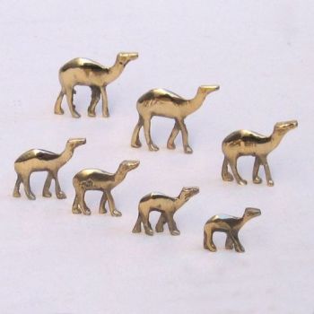 BR9826 - Solid Brass Mini Camel Set