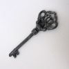 IR8010KF - Skeleton Key - Iron